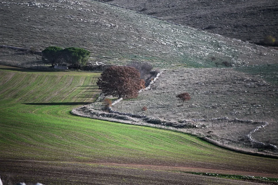 Muri a secco nell’Alta Murgia