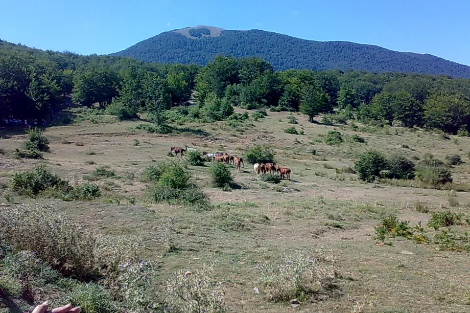Scorcio di Pollino