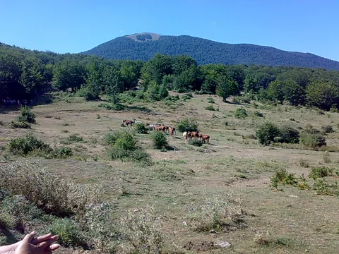 View of Pollino