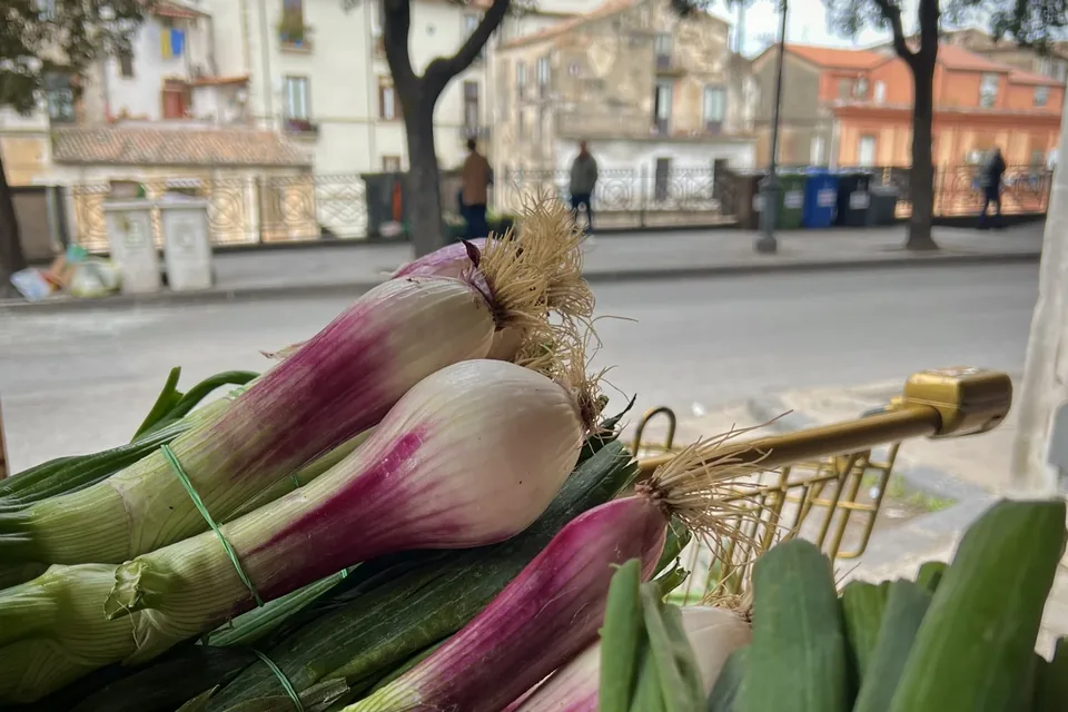 Cipollotti al mercato di Cosenza, aprile 2024