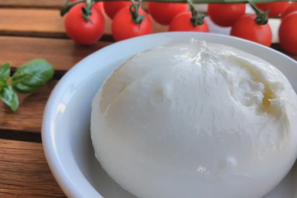 Burrata con pomodorini e basilico