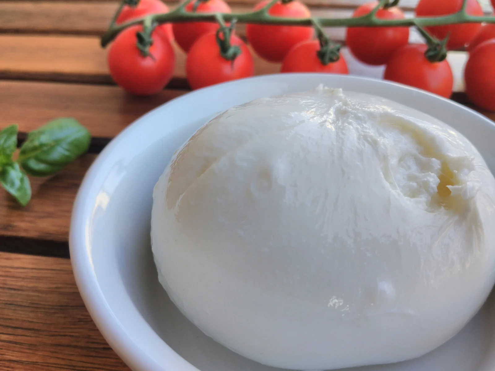 Burrata con pomodorini e basilico