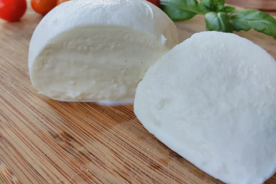 Mozzarella di bufala tagliata, con pomodorini e basilico, fotografia illustrativa