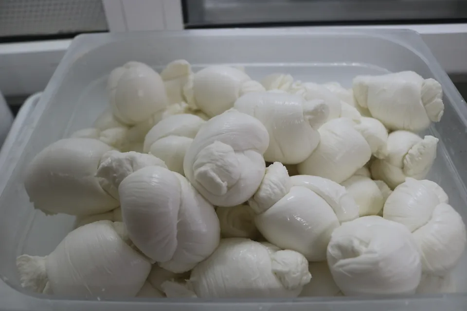 Mozzarella fior di latte