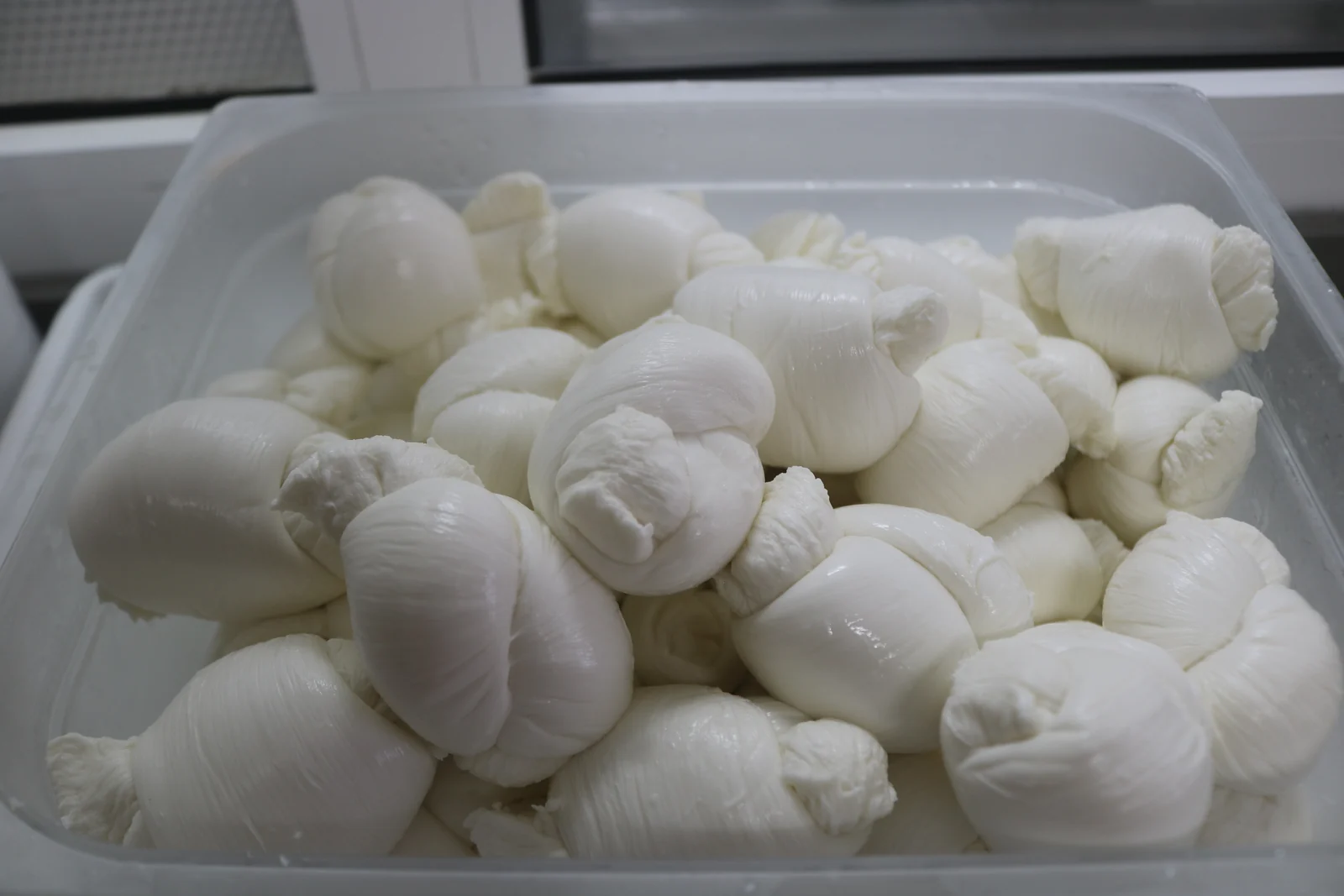 Mozzarella fior di latte